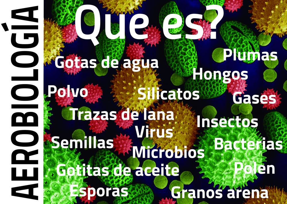 Imagen con part&iacute;culas microsc&oacute;picas coloreadas y la lista de lo que hay en el aire: polen, esporas, hongos, bacterias y m&aacute;s